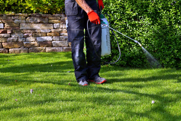  Sunset Hills, MO Pest Control Pros